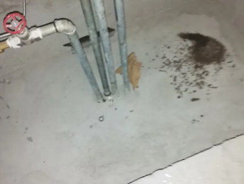 宣化卫生间测漏水价格明细